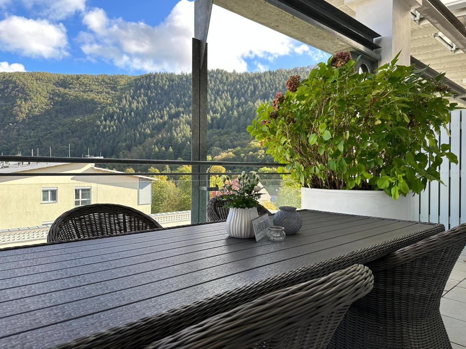 Appartement Penthouse Palais Mosel à Traben-Trarbach Extérieur photo